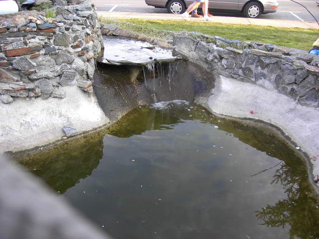 fishpond.jpg